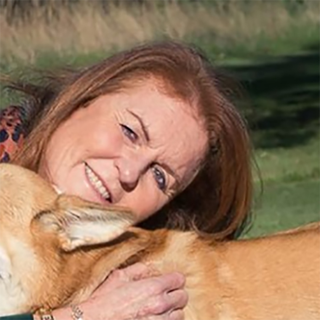 Sarah Ferguson Shares Her First Photos of Queen Elizabeth’s Corgis